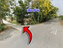 - ขายที่ดินเปล่า ที่นา ติดถนน บางไทร อยุธยา