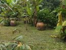 - ขายที่ดินพร้อมสวนผลไม้ 290 ตรว ดงละคร นครนายก ใกล้กรุงเทพฯ ขาย 1.75 ล้านบาท