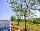 - ที่ดินติดคลองประปามหาสวัสดิ์ 1 ไร่ ที่สวยทำเลดี เหมาะทำธุระกิจ การค้า ที่พัก