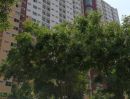  - ขายคอนโด ซิตี้โฮม รัตนาธิเบศร์ ( City Home Rattanathibet )