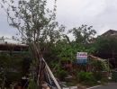 - ขายที่ดินเปล่า 45 ตร.ว. โครงการบ้านปีกไม้ ตำบลบ้านใหม่ อำเภอบางใหญ่ จังหวัดนนทบุรี
