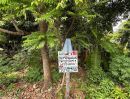 - ที่ดิน 147.9 ตร.วา ซอยจรัญสนิทวงศ์ 3 (ซอยสมชาย) แปลงหัวมุม ราคาถูกมาก