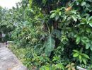  - ที่ดิน 80.6 ตร.ว. ซอยจรัญสนิทวงศ์ 3 (ซอยสมชาย) ที่ริมคลอง ราคาถูกมาก