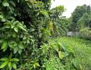  - ที่ดิน 80.6 ตร.ว. ซอยจรัญสนิทวงศ์ 3 (ซอยสมชาย) ที่ริมคลอง ราคาถูกมาก