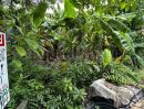  - ที่ดิน 80.6 ตร.ว. ซอยจรัญสนิทวงศ์ 3 (ซอยสมชาย) ที่ริมคลอง ราคาถูกมาก