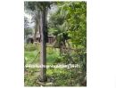  - ขายที่ดินวังดาล อ.กบินทร์บุรี จ.ปราจีนบุรี 1-2-66 ไร่ (666 ตารางวา) [FAS2508117]
