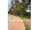  - ขายที่ดินวังดาล อ.กบินทร์บุรี จ.ปราจีนบุรี 1-2-66 ไร่ (666 ตารางวา) [FAS2508117]