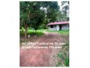  - ขายที่ดินวังดาล อ.กบินทร์บุรี จ.ปราจีนบุรี 1-2-66 ไร่ (666 ตารางวา) [FAS2508117]