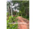  - ขายที่ดินวังดาล อ.กบินทร์บุรี จ.ปราจีนบุรี 1-2-66 ไร่ (666 ตารางวา) [FAS2508117]
