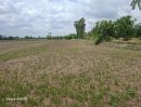 - ขายที่ดิน 31 ไร่ 322 ตร.วา ติดถนนใหญ่ หนองขาหย่าง อุทัยธานี ผังเมืองสีชมพู
