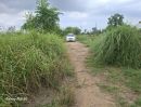 - ขายที่ดิน 31 ไร่ 322 ตร.วา ติดถนนใหญ่ หนองขาหย่าง อุทัยธานี ผังเมืองสีชมพู