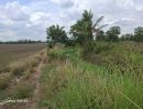 - ขายที่ดิน 31 ไร่ 322 ตร.วา ติดถนนใหญ่ หนองขาหย่าง อุทัยธานี ผังเมืองสีชมพู