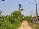- ขายที่ดินสวยๆ พื้น ที่ 3 ไร่ อ.นิคมพัฒนา จ.ระยอง ซอย5 สาย13 ฝั่งสาย11