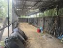 - ขายถูกมาก ที่ดินแปลงใหญ่ ถมแล้ว คลองหก คลองหลวง ปทุมธานี