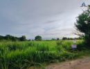 - ขายด่วน ที่ดิน 1 ไร่ ศรีราชาห่างจากทางด่วนมอเตอร์เวย์หมายเลข 7 เพียง 10 นาที