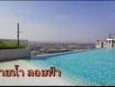 - ขาย/เช่า เดอะ โพลิแทน รีฟ (The Politan Rive) นนทบุรี