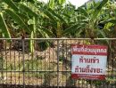  - ขายที่ดินปุณณวิถี20 สุขุมวิท101 เดินไป BTS 850 เมตร ที่ดิน Punnawithi 136 ตร.ว ใกล้รถไฟฟ้าบีทีเอส ใกล้ห้างทรูดิจิตอล ซีคอนศรีนครินทร์ เซ็นทรัลบางนา