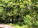 - ที่ดินพร้อมสวนสัก ติดถนนคอนกรีตสาธารณะ ใกล้ชุมชน อ.ท่าวังผา น่าน
