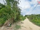 - ขายที่ดินเปล่า 51 ตร.ว. ถนนค่ายลูกเสือ บางพระ ศรีราชา ชลบุรี