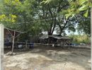 - ขายที่ดินถมแล้ว ซอยเทศบาลเมืองบางกะดี (รหัสทรัพย์ 202621) ต.บ้านใหม่ อ.เมืองปทุมธานี จ.ปทุมธานี ขนาด 2 ไร่ 59 ตรว.