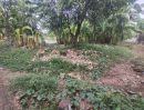  - ขายที่ดิน 130.8 ตร.ว. ถมแล้ว น้ำไฟพร้อม ซ.เจริญสุข นาดี สมุทรสาคร ราคาจับต้องได้ เหมาะลงทุน หรือเริ่มต้นธุรกิจ