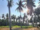 - ขายที่ดินใกล้ทะเล หาดคลองวาฬ อำเภอเมืองประจวบคีรีขันธ์ ราคา 5,000,000 บาท