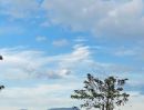  - ขายที่ดิน 2 ไร่ อ.ปากช่อง จ.นครราชสีมา วิวสวย ทำเลทอง ใกล้บ้านไร่อิงฟ้า เขาใหญ่