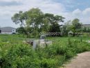  - ขายที่ดิน ซอยเลียบวารี75 หนองจอก พื้นที่ 400 ตรว. ขายถูกเท่าราคาประเมิน เพียง 2.39 ล้านบาท