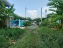 - ขายทีดินใกล้วัดราษฎร์รังสรรค์ 100 ตารางวา(ติดถนนสาธารณะ ชอยเพชรหึ่ง บางกะเจ้า พระประแดง สมุทรปราการ