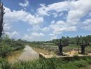 - ขายที่ดินทำสวนเกษตร 26 ไร่ ติดคลอง ใกล้แยกประจันตคาม(ถนน33)-2กม. จ.ปราจีนบุรี