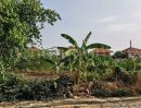 - ที่ดินเปล่า 132 ตร.วา ซอยวัดลาดปลาดุก บางบัวทอง แปลงมุม