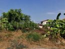- ที่ดินเปล่า 132 ตร.วา ซอยวัดลาดปลาดุก บางบัวทอง แปลงมุม