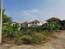 - ที่ดินเปล่า 132 ตร.วา ซอยวัดลาดปลาดุก บางบัวทอง แปลงมุม