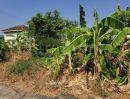- ที่ดินเปล่า 132 ตร.วา ซอยวัดลาดปลาดุก บางบัวทอง แปลงมุม