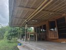 - ขายที่ดินสวนป่าแนว Eco Living ติดวิวเขาใหญ่เนื้อที่ 25 ไร่ โฉนดนส.4 ล้อมรอบด้วยธรรมชาติต้นไม้และสวนผลไม้นาๆพรรณ พร้อมบ้านพักส่วนตัว