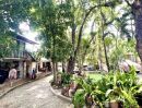 - ที่ดิน 2 ไร่ พร้อมสิ่งปลูกสร้าง ไทรน้อย - นนทบุรี