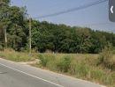 - ขายที่ดินผังม่วงลาย นิคมพัฒนา ระยอง ตำบลมะขามคู่ นิคมพัฒนา,ระยอง