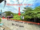 - ขายที่ดินเชิงเนินเนื้อที่ 107 ตรว. ซอยสุขใจ ติดถนนคอนกรีตใกล้ถนนเส้นสี่เลน36-90เมตร เมืองระยอง