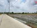 - ขายที่ดิน 2 ไร่ คลอง 10 ลำลูกกา ปทุมธานี ติดถนน