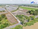 - ขายที่ดิน 2-0-88 คลองสิบสอง หนองจอกกรุงเทพมหานคร