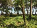 - ประกาศขายที่ดินติดหาด เกาะโหลน จังหวัดภูเก็ต ขายยกแปลง เจ้าของขายเอง