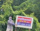 - ขายถูกมาก!! ที่ดิน 24 ไร่ 92 ตร.ว. คลอง13 อ.ลำลูกกา จ.ปทุมธานี ติดถนนดำ 3035 ถนนเชื่อมลำลูกกา-รังสิต-นครนายก