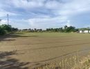  - ขายที่ดิน บางใหญ่เสาธงหิน เนื้อที่ 11-3-71.8 ไร่ หน้ากว้างติดถนน 70 เมตร ใกล้ตลาดบางใหญ่ ใกล้เซ็นทรัลเวตเเกต