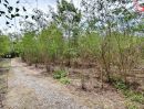 - ขายที่ดินเปล่า 1 ไร่ ติดคลอง ถนนเลียบคลอง 11 ลำลูกกา ใกล้ Reignwood Park ปทุมธานี