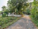  - ขาย ที่ดิน 200 ตร.ว. ต.ป่าไผ่ อ.สันทราย จ.เชียงใหม่