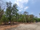 - ขายที่ดิน 3 โฉนดติดกัน | ต.บึงบา อ.หนองเสือ จ.ปทุมธานี บนทำเลจุดเชื่อมต่อที่ดีที่สุดของหนองเสือ!