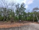 - ขายที่ดิน 3 โฉนดติดกัน | ต.บึงบา อ.หนองเสือ จ.ปทุมธานี บนทำเลจุดเชื่อมต่อที่ดีที่สุดของหนองเสือ!