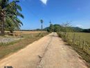  - ขายที่ดิน 9ไร่102 ตรว. ขายไร่ละ 9 แสนบาท ต่อรองได้ ใกล้หาดบางเบน อุทยานแห่งชาติแหลมสน ติดทางสาธารณะ2ด้าน