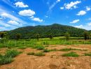 - ขายที่ดินพร้อมทำบ้านสวน 1 ไร่ ท่าคล้อ แก่งคอย สระบุรี ถมแล้ว มีบ่อน้ำ ราคาไม่ถึงล้าน
