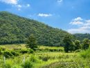 - ขายที่ดินพร้อมทำบ้านสวน 1 ไร่ ท่าคล้อ แก่งคอย สระบุรี ถมแล้ว มีบ่อน้ำ ราคาไม่ถึงล้าน
